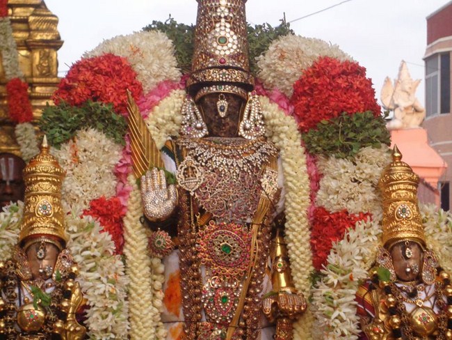 Thiruvallikeni Sri Parthasarthy Perumal Brahmothsavam Anandha Nilya Vimanam13