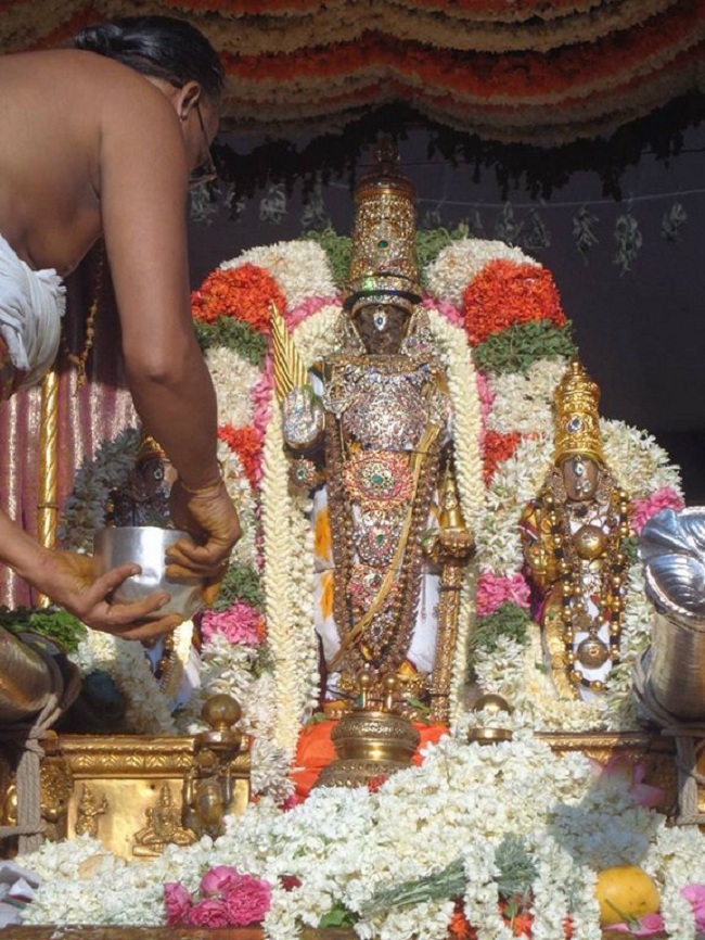Thiruvallikeni Sri Parthasarthy Perumal Brahmothsavam Anandha Nilya Vimanam4