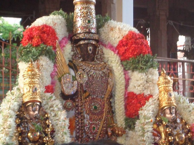 Thiruvallikeni Sri Parthasarthy Perumal Brahmothsavam Anandha Nilya Vimanam52