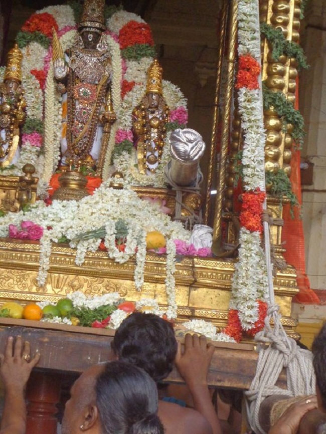 Thiruvallikeni Sri Parthasarthy Perumal Brahmothsavam Anandha Nilya Vimanam53