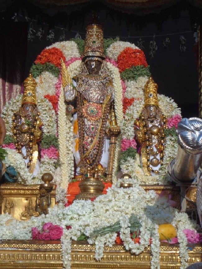Thiruvallikeni Sri Parthasarthy Perumal Brahmothsavam Anandha Nilya Vimanam61