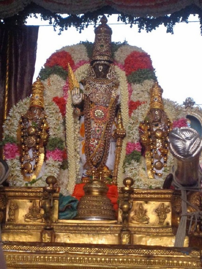 Thiruvallikeni Sri Parthasarthy Perumal Brahmothsavam Anandha Nilya Vimanam73