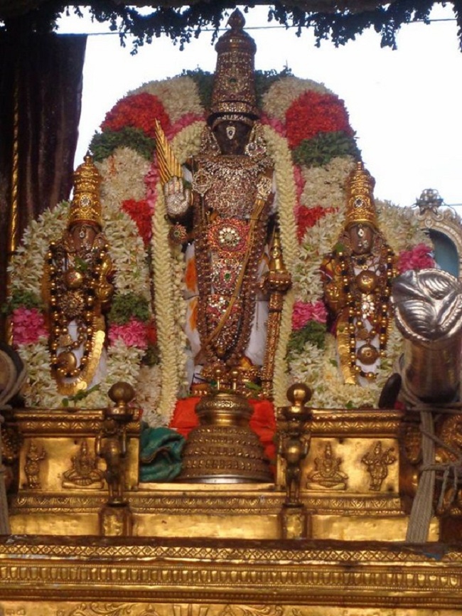 Thiruvallikeni Sri Parthasarthy Perumal Brahmothsavam Anandha Nilya Vimanam9