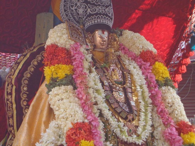 Thiruvallikeni Swami Emperumanar Thiru Avathara Uthsavam-Day 4 -1