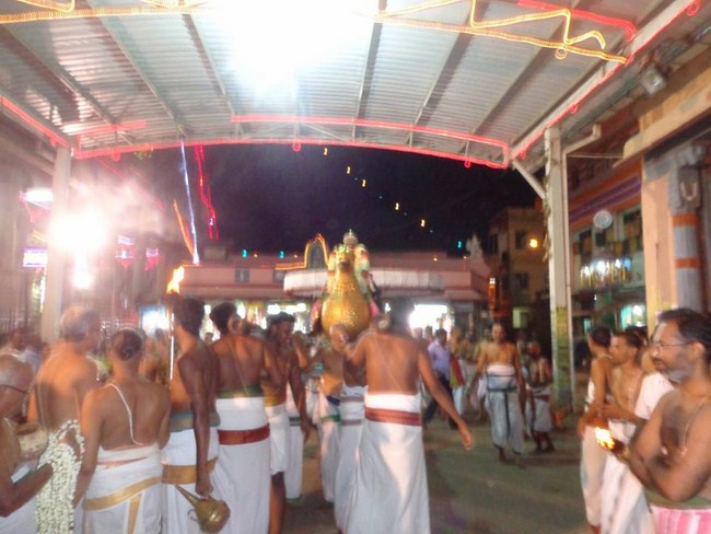 Thiruvallikeni Swami Emperumanar Thiru Avathara Uthsavam14