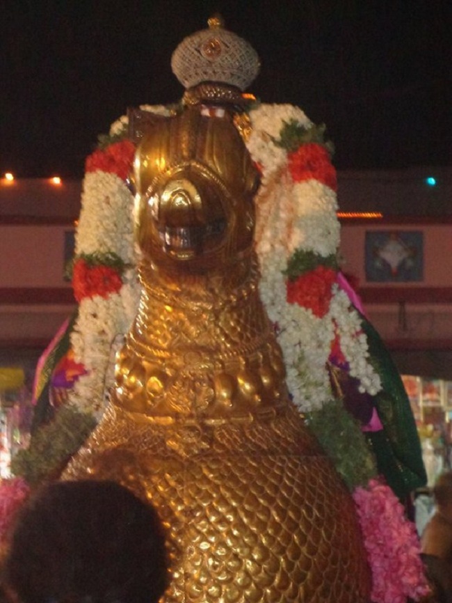 Thiruvallikeni Swami Emperumanar Thiru Avathara Uthsavam15