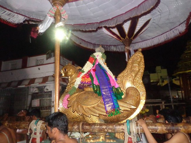 Thiruvallikeni Swami Emperumanar Thiru Avathara Uthsavam19