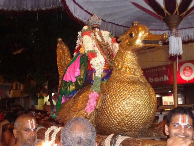 Thiruvallikeni Swami Emperumanar Thiru Avathara Uthsavam8