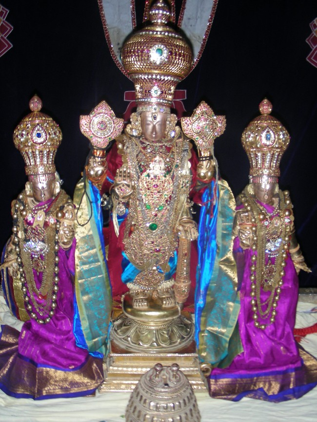 Thiruvallur Veeraraghava Perumal Ugadhi PUrappadu 2014 -01