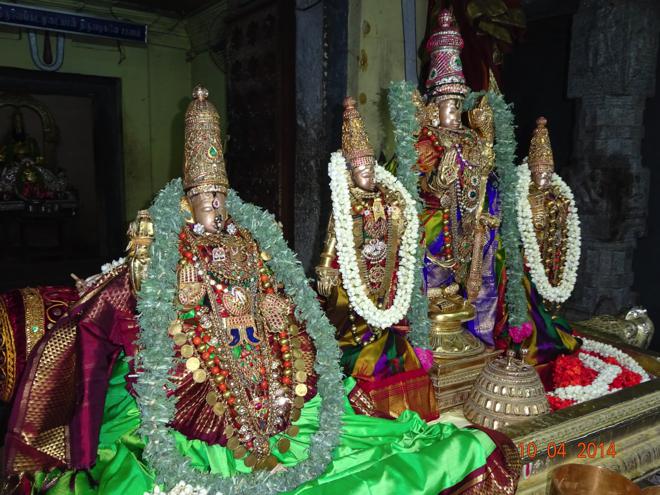 Thiruvallur_Dhavana Utsavam_17