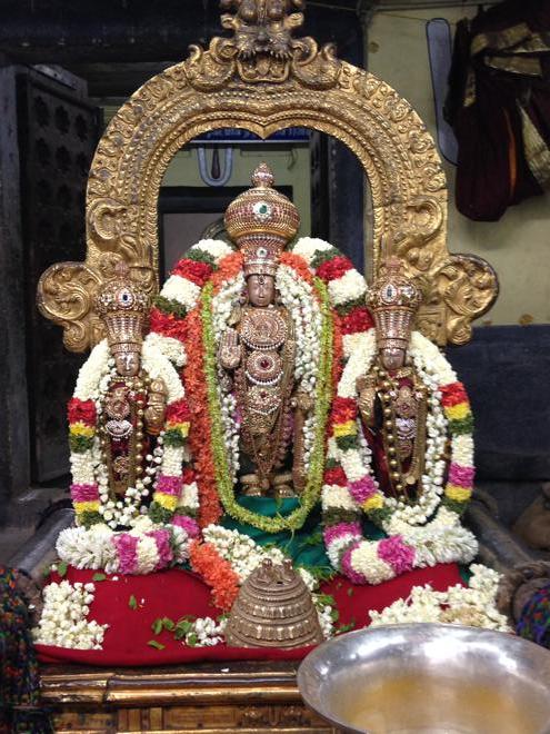 Thiruvallur_Dhavana Utsavam__11