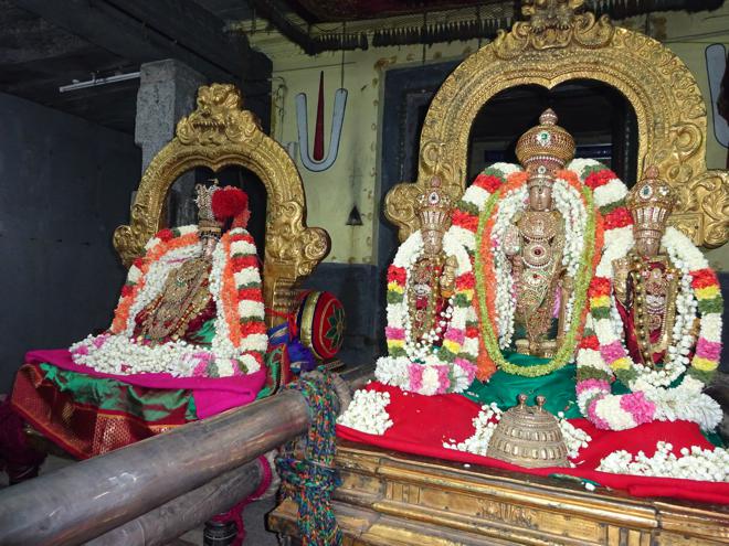 Thiruvallur_Dhavana Utsavam__50