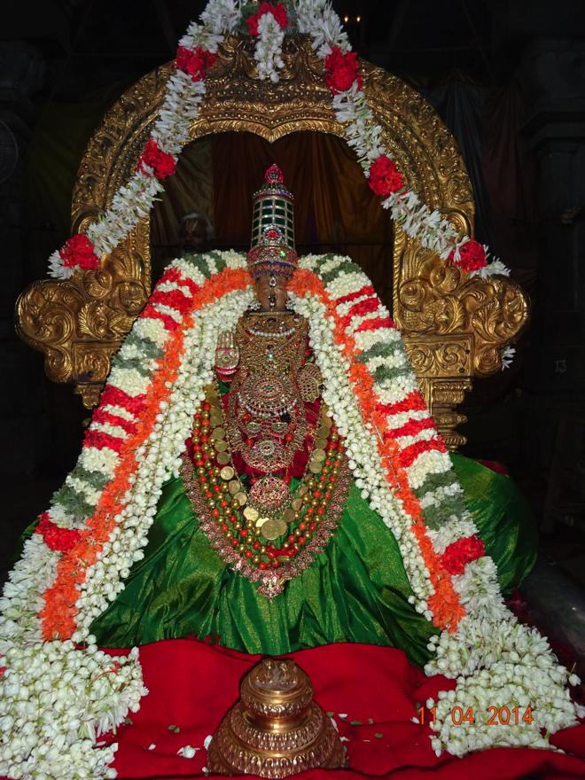 Thiruvallur_Kanagavalli Thayar_Utsavam_01