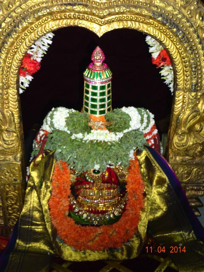 Thiruvallur_Kanagavalli Thayar_Utsavam_05