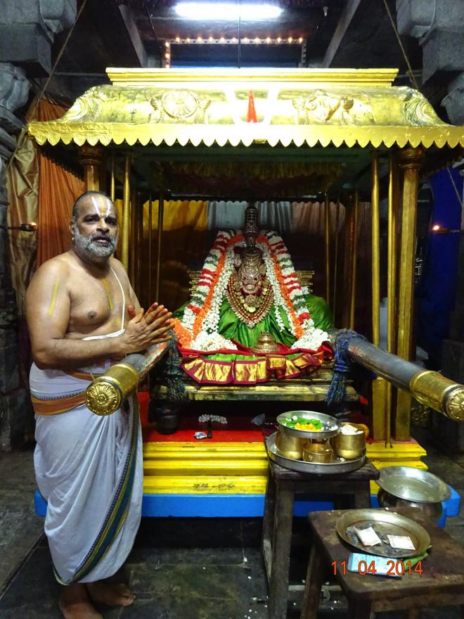 Thiruvallur_Kanagavalli Thayar_Utsavam_08
