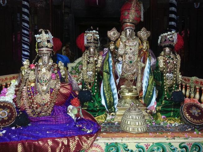 Thiruvallur_Panguni Utthiram_22
