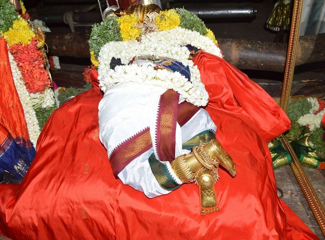 Vanamamalai Sri Deivanayagan Panguni Brahmothsavam 1-