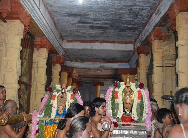 Vanamamalai Sri Deivanayagan Panguni Brahmothsavam 12-