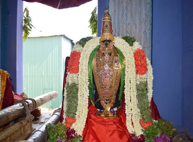 Vanamamalai Sri Deivanayagan Panguni Brahmothsavam 13-