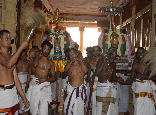 Vanamamalai Sri Deivanayagan Panguni Brahmothsavam 15-