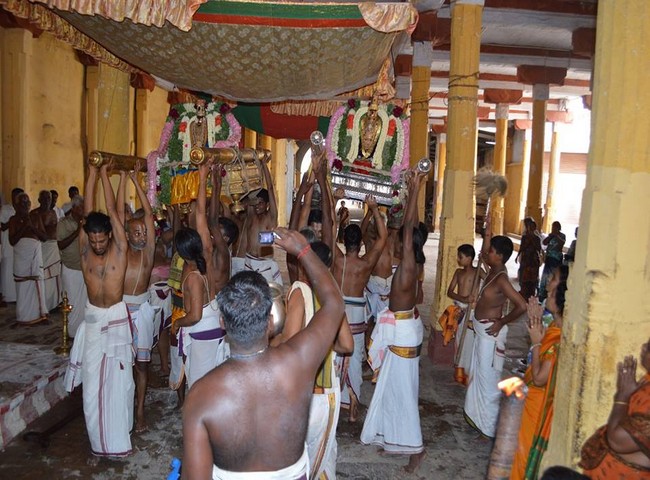 Vanamamalai Sri Deivanayagan Panguni Brahmothsavam 16-