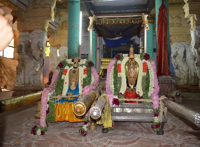 Vanamamalai Sri Deivanayagan Panguni Brahmothsavam 18-