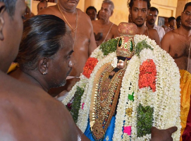 Vanamamalai Sri Deivanayagan Panguni Brahmothsavam 20-