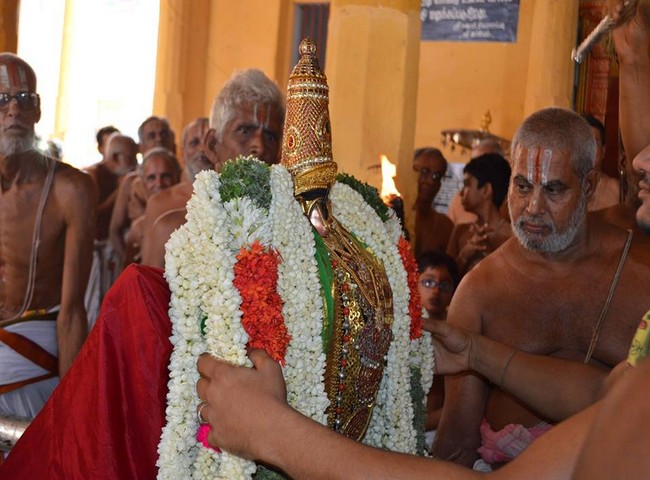 Vanamamalai Sri Deivanayagan Panguni Brahmothsavam 26-
