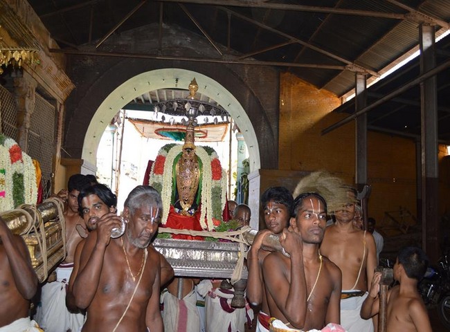 Vanamamalai Sri Deivanayagan Panguni Brahmothsavam 28-