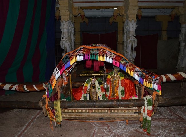 Vanamamalai Sri Deivanayagan Panguni Brahmothsavam 7-