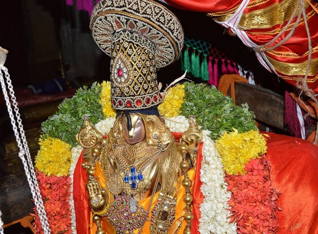 Vanamamalai Sri Deivanayagan Panguni Brahmothsavam 8-