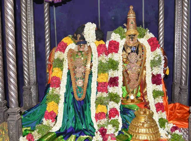 Vanamamalai Sri Devanaiyagan Panguni Brahmothsavam -10