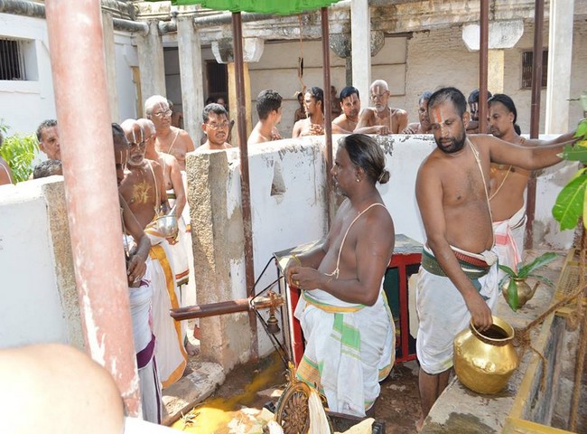 Vanamamalai Sri Devanaiyagan Panguni Brahmothsavam -11