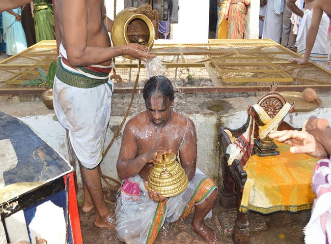 Vanamamalai Sri Devanaiyagan Panguni Brahmothsavam -12