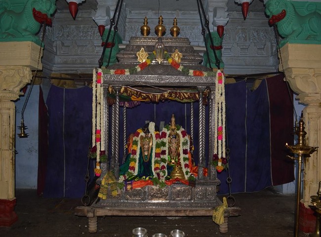 Vanamamalai Sri Devanaiyagan Panguni Brahmothsavam -14