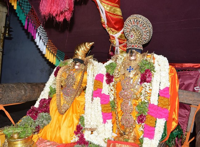 Vanamamalai Sri Devanaiyagan Panguni Brahmothsavam -2