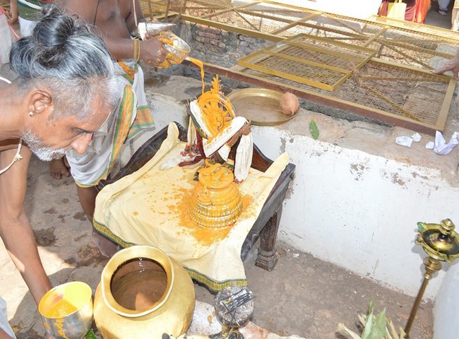 Vanamamalai Sri Devanaiyagan Panguni Brahmothsavam -7