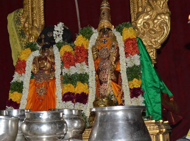 Vanamamalai Sri Thothathrinathan Panguni Brahmothsavam -26