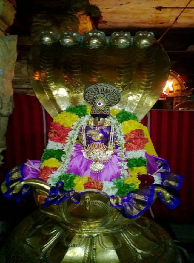 Vanamamalai Sri Thothathrinathan Panguni Brahmothsavam -3