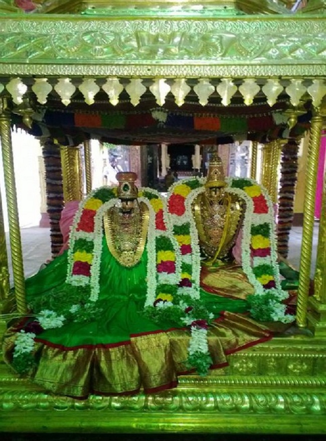 Vannamamalai Sri Devanaiyagan Panguni Brahmothsavam -18