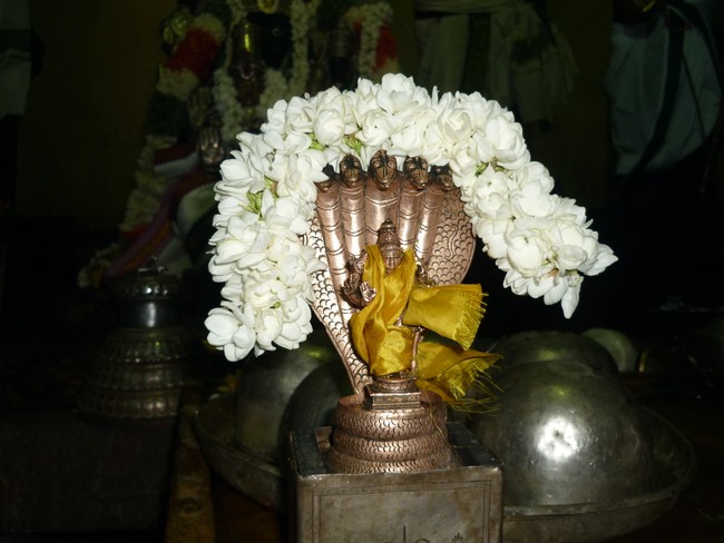 Varaha Jayanthi at Dasavatharan sannadhi 2014 -02
