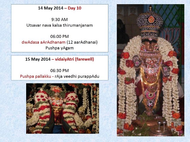 Vedasreni Sri Yoga Narasimha Perumal Temple  Brahmotsavam 2014-6_640x480