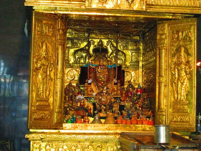 45th Azhagiyasingar Vigraham for Sampraokshanam at Brindavanam 2014--25