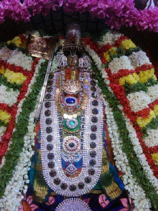 Alwarpet Sri kothadaramar Temple Udayavar Avathara Uthsavam1