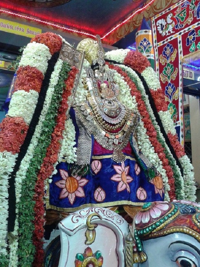 Alwarpet Sri kothadaramar Temple Udayavar Avathara Uthsavam15