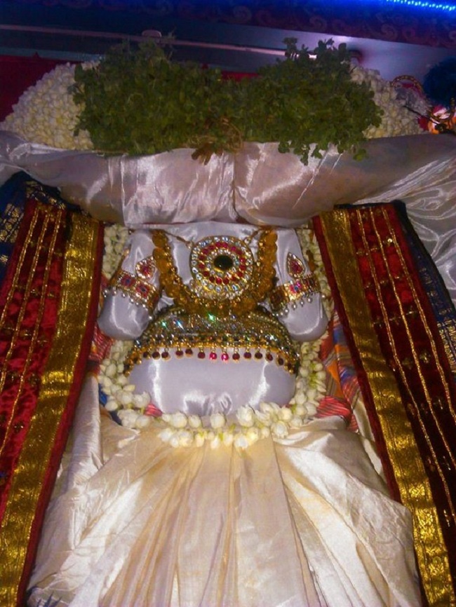 Alwarpet Sri kothadaramar Temple Udayavar Avathara Uthsavam28