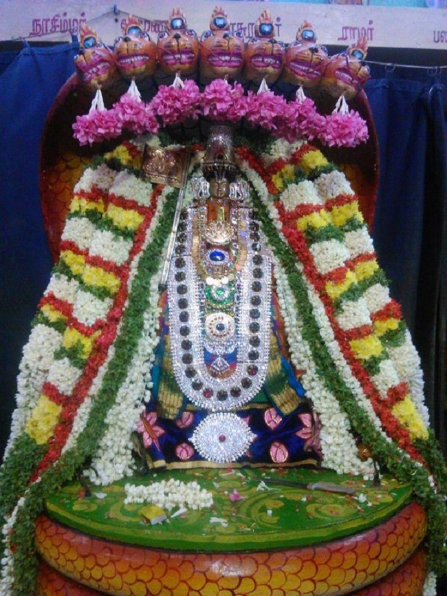 Alwarpet Sri kothadaramar Temple Udayavar Avathara Uthsavam3