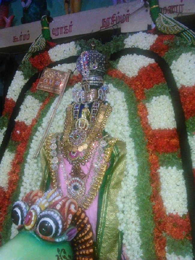 Alwarpet Sri kothadaramar Temple Udayavar Avathara Uthsavam31