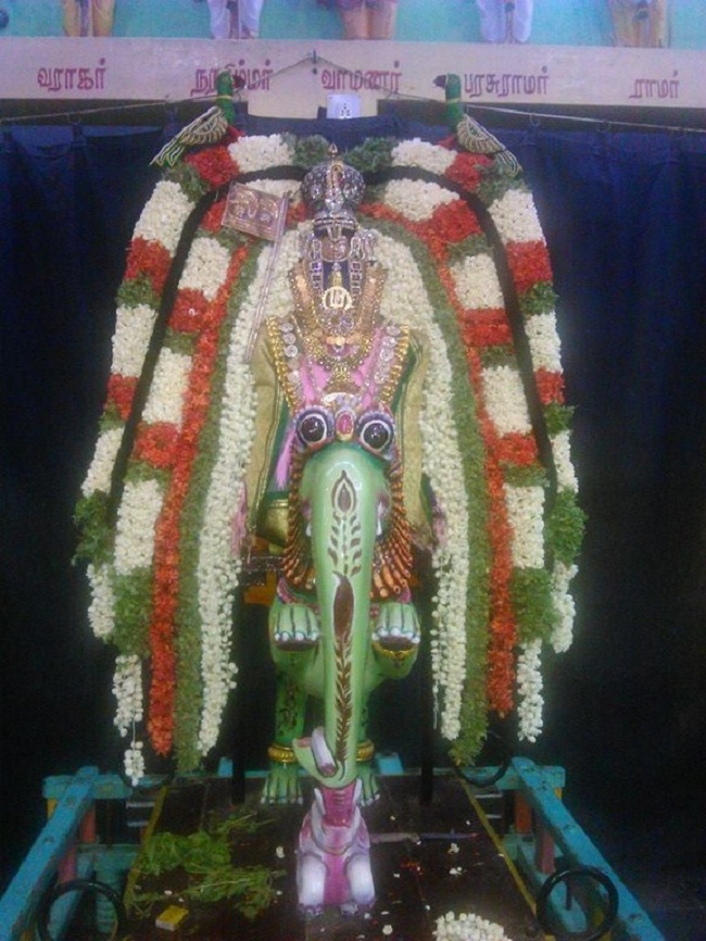 Alwarpet Sri kothadaramar Temple Udayavar Avathara Uthsavam32