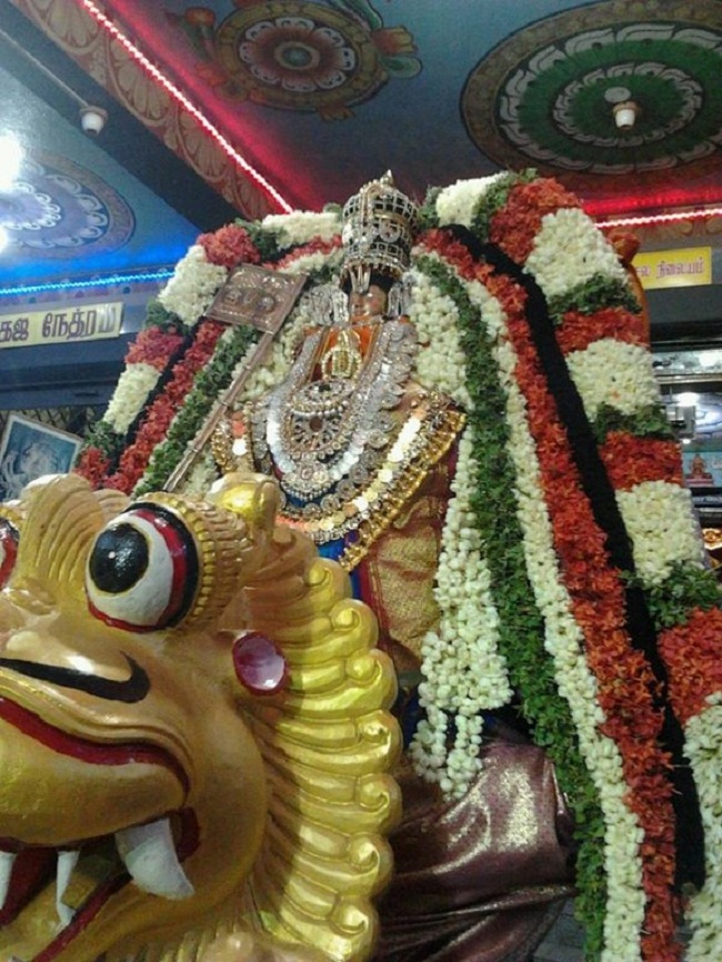 Alwarpet Sri kothadaramar Temple Udayavar Avathara Uthsavam4